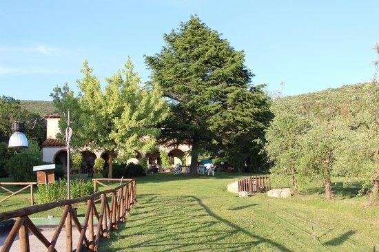 Agriturismo San Valentino 阿米里亚 外观 照片